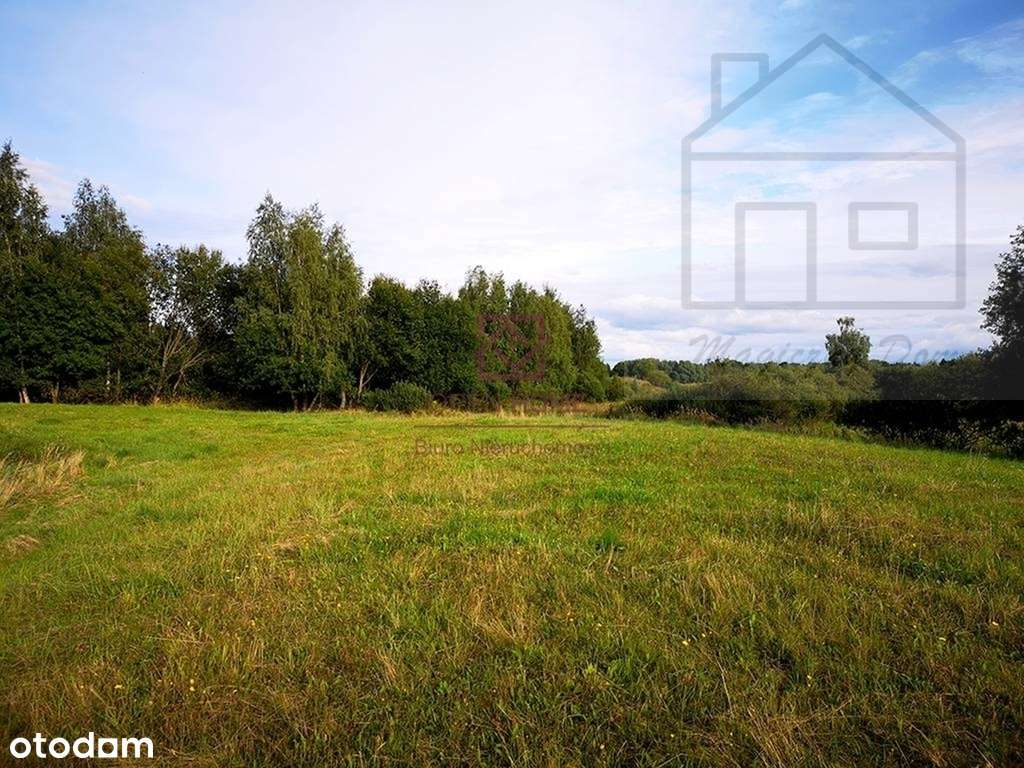 Inwestycyjna Blisko Portu Cpk. Wiskitki - Pełny obrazek: 4/9