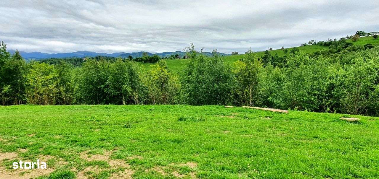 Teren casa de vacanta , Pestera , Brasov-4