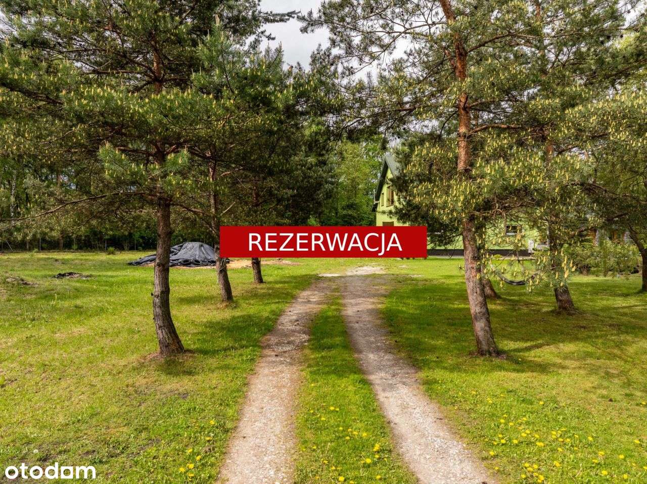 Stajnia z częścią mieszkalną 4,5 ha Własny las-0