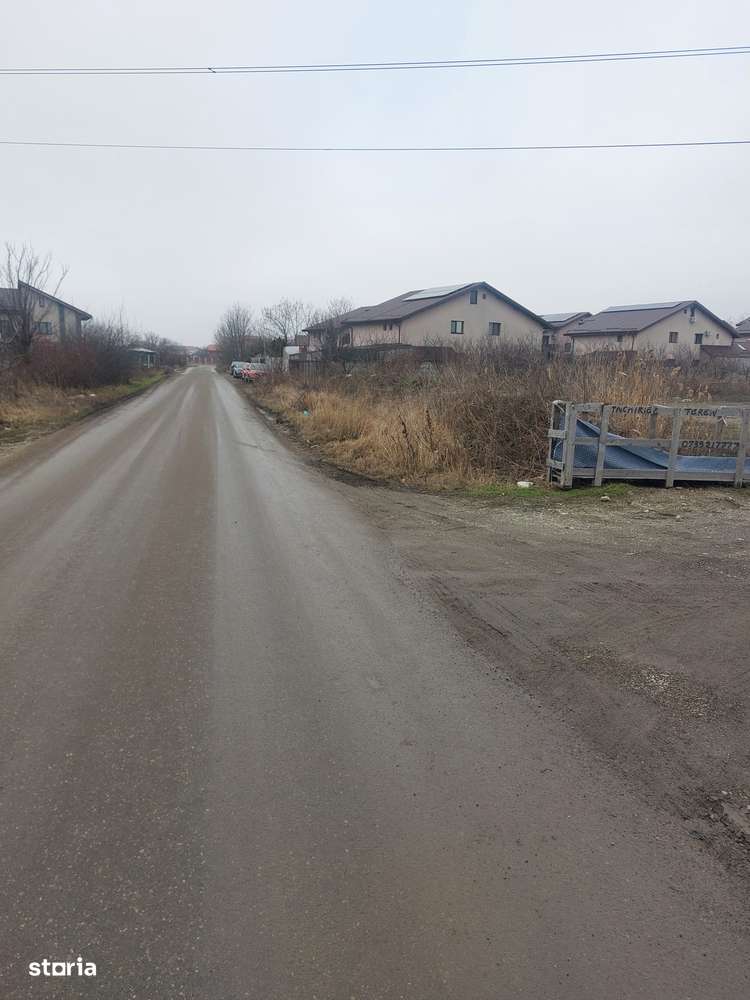 Clinceni - Olteni, Strada Fortului, Stradal-4