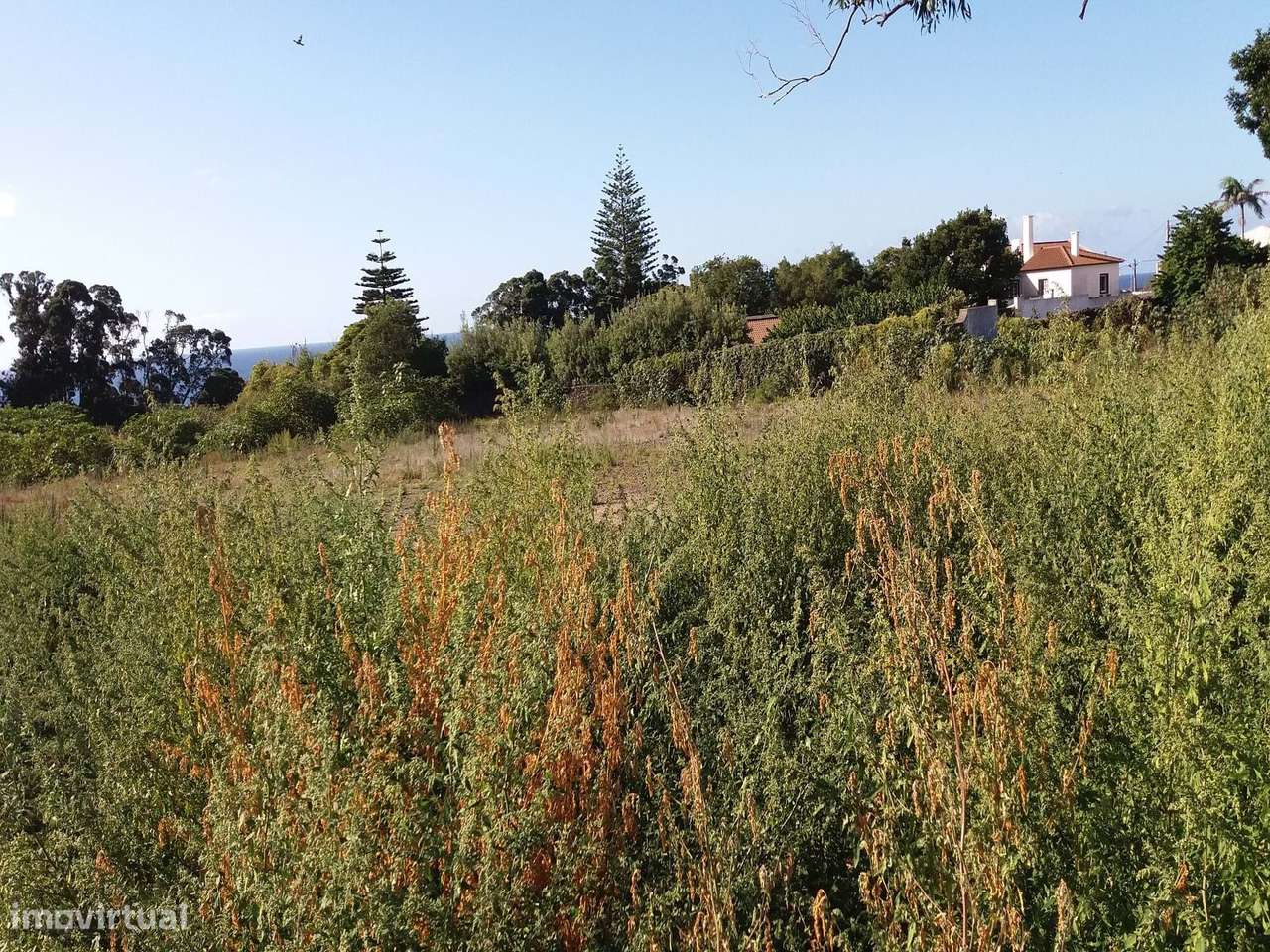 Terreno em zona urbana em Ponta Delgada - Grande imagem: 3/17