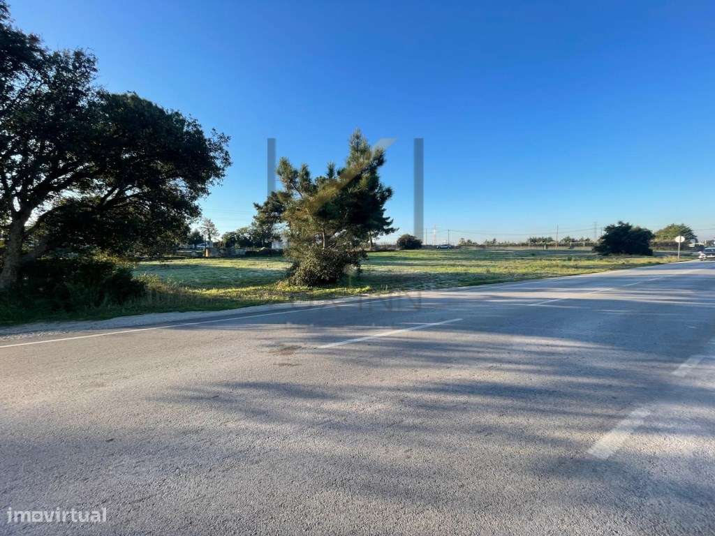 Terreno Rústico na Quinta do Anjo, Palmela - 5.200 m² - Grande imagem: 5/6