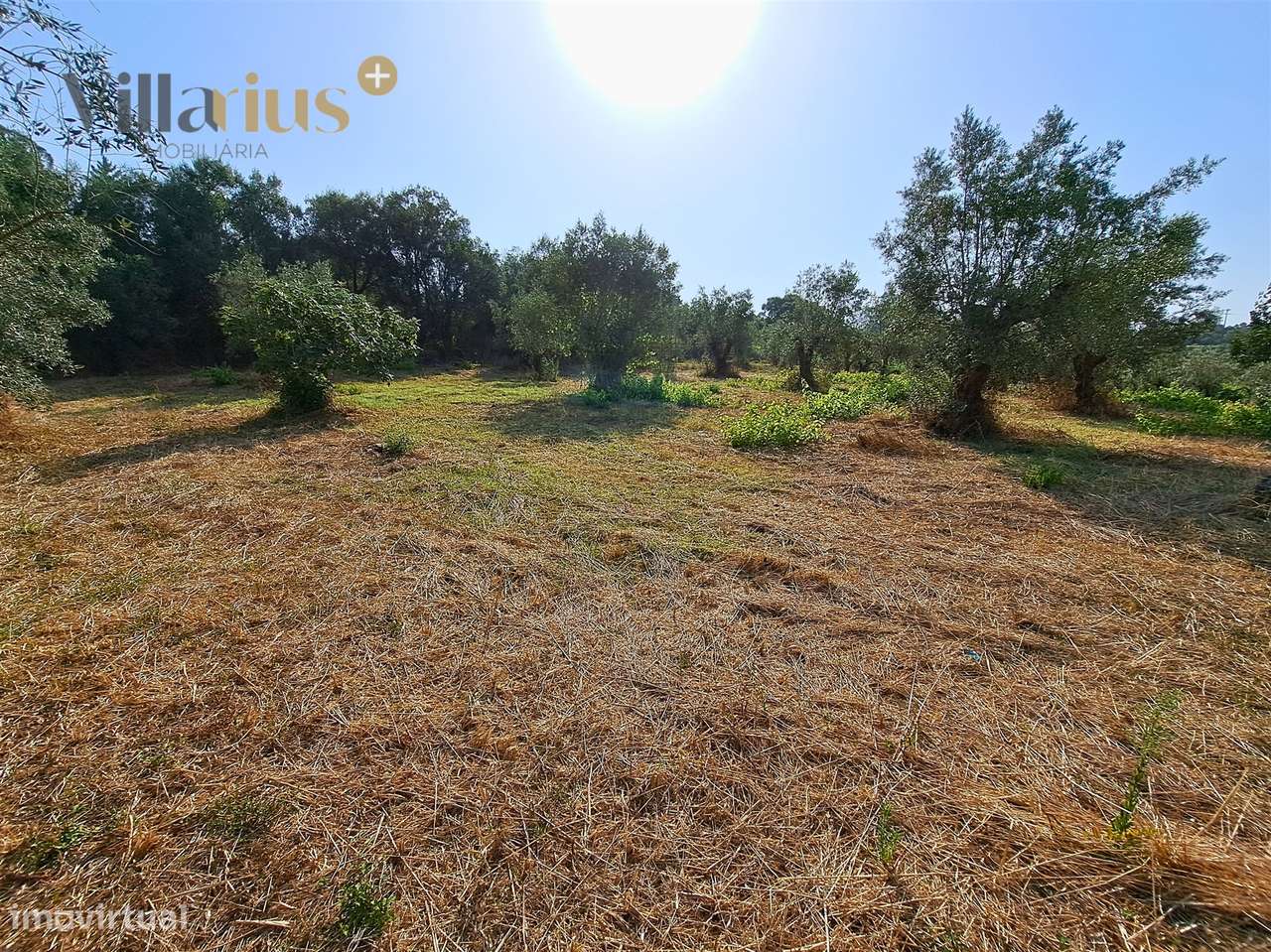 Terreno 11.513 m² com Projeto Aprovado — Tomar-10