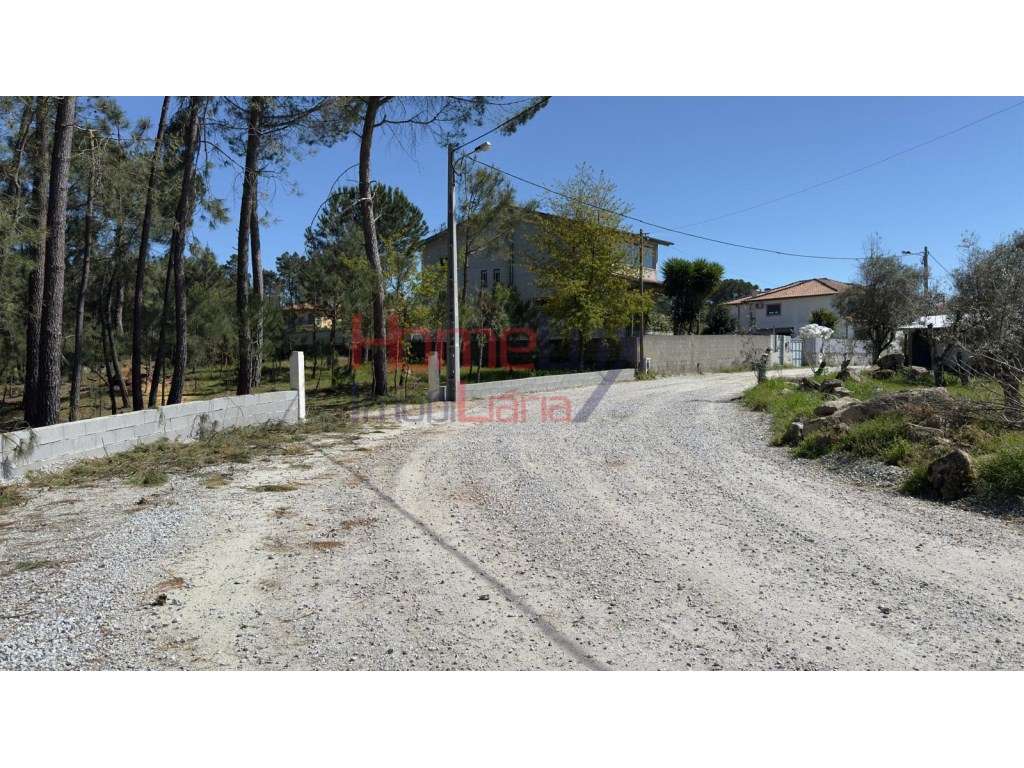 Terrenos em S. João de Lourosa, Viseu - Grande imagem: 5/36