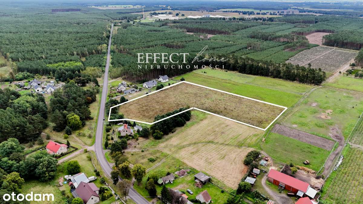 Kompleks działek w malowniczej wsi Borowiec - Pełny obrazek: 5/6