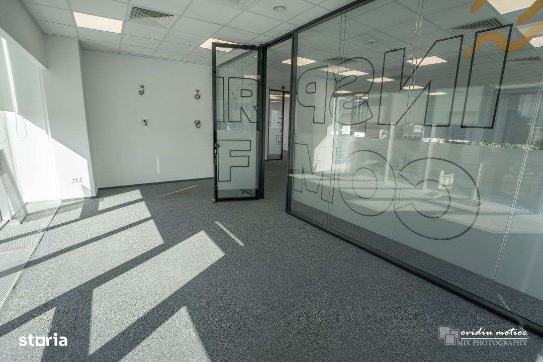 Birouri 216 mp Brancusi - Imagine principală: 4/16