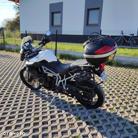 Triumph Tiger - 10