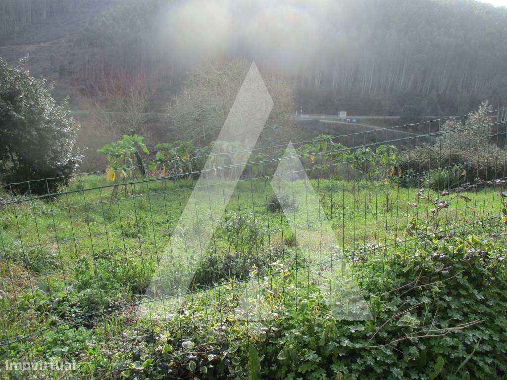 Terreno na zona de Anadia - Grande imagem: 4/7