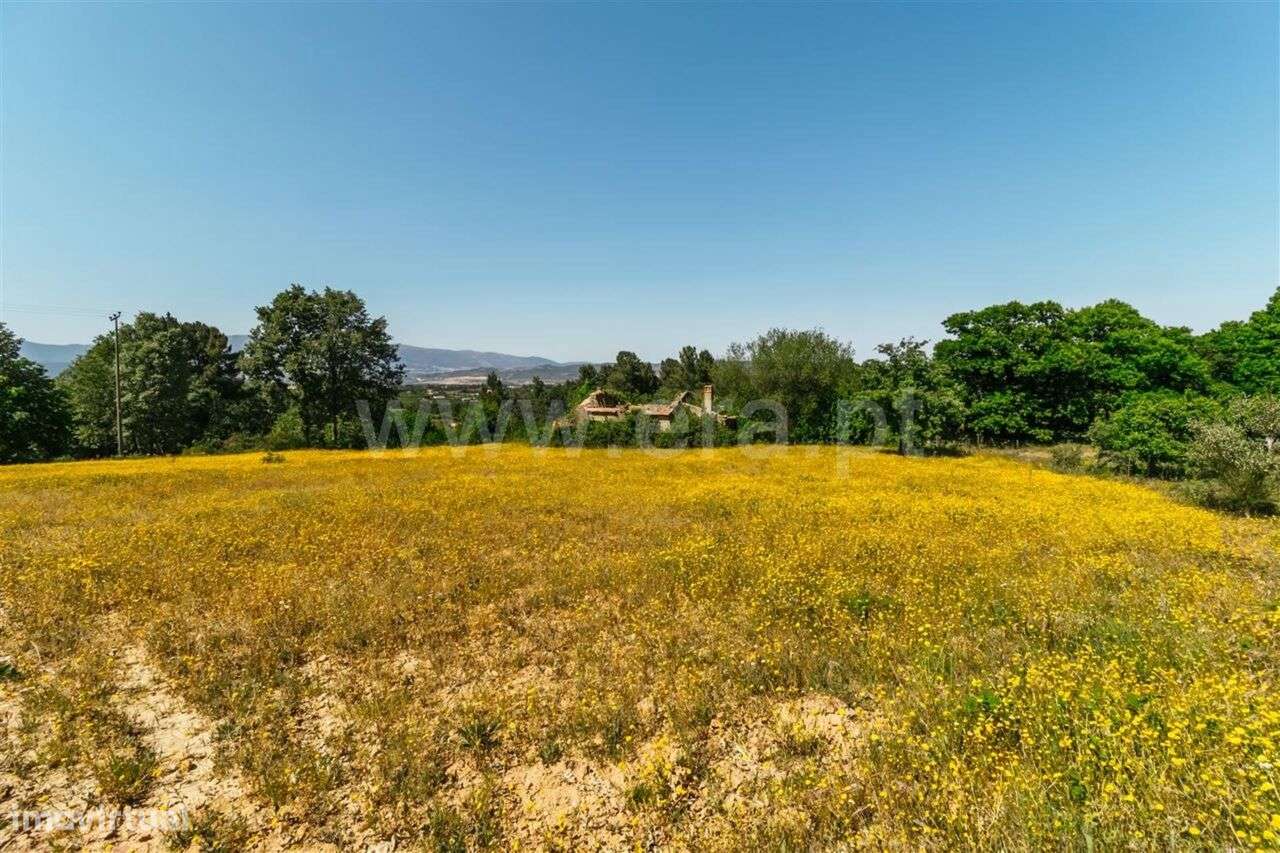 Terreno / Fundão, Donas - Grande imagem: 2/20