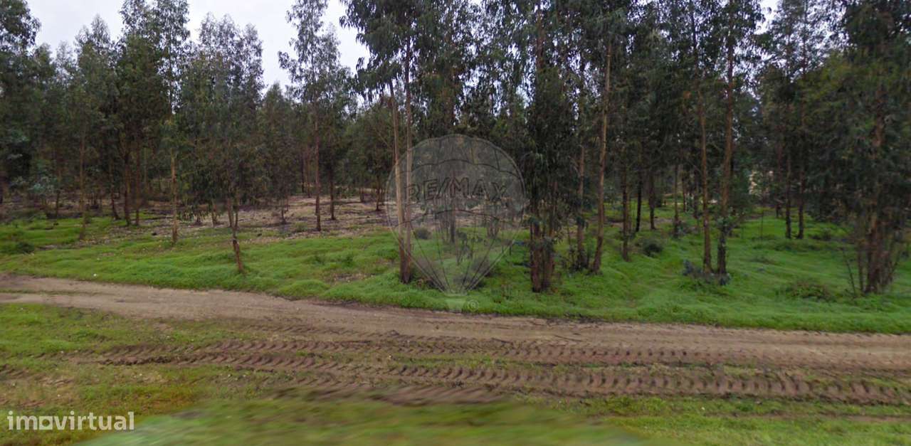 Terreno  para venda - Grande imagem: 2/3