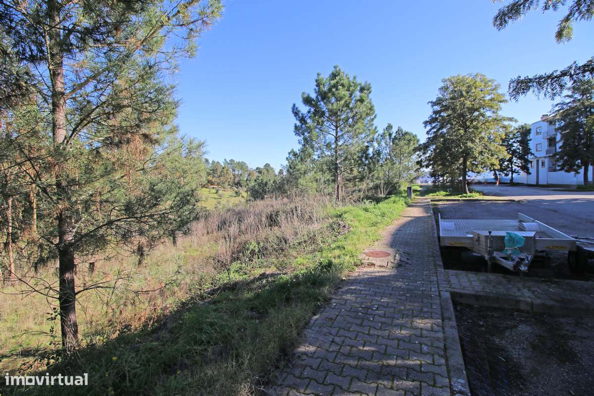Lote de Terreno na Urbanização de Santa Luzia em Abrantes - Grande imagem: 5/16