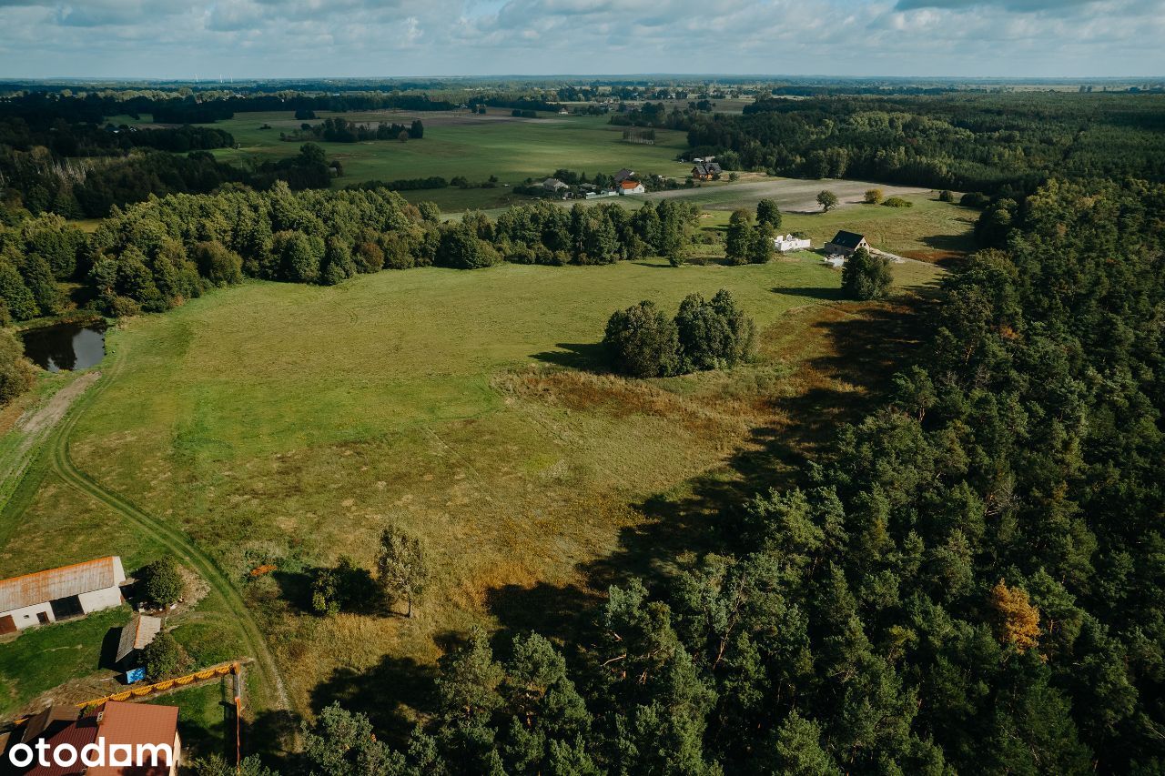 Tury - działki budowlane przy lesie