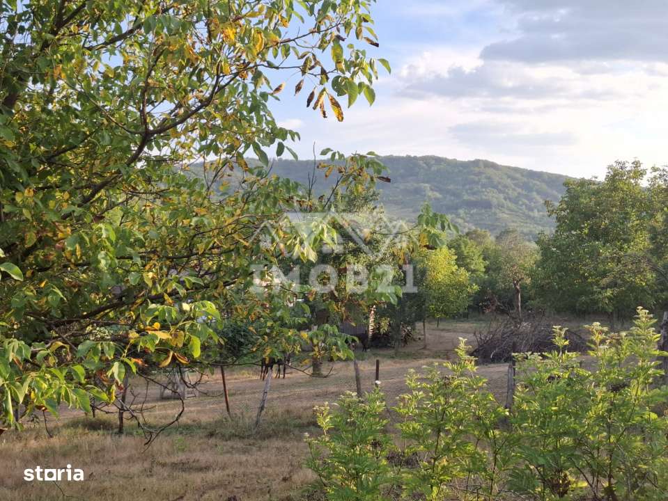 Teren spectaculos cu padure, livada si priveliste panoramica in Soimar-6