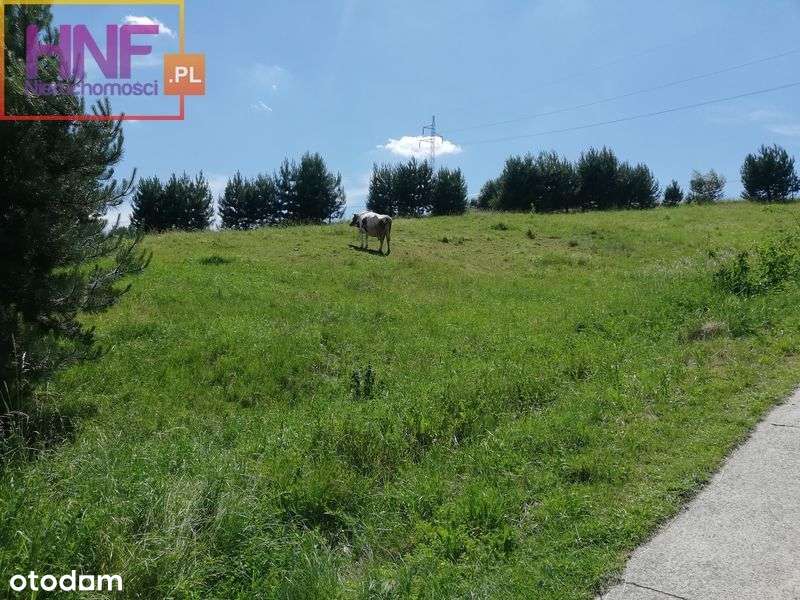 Działka 18ar w Krużlowej Wyżnej - Pełny obrazek: 5/6