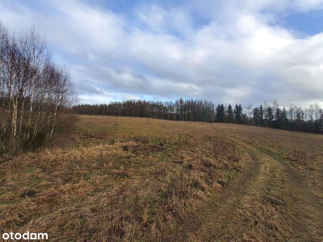 Działki rolne , pod rekreację - Pełny obrazek: 5/17