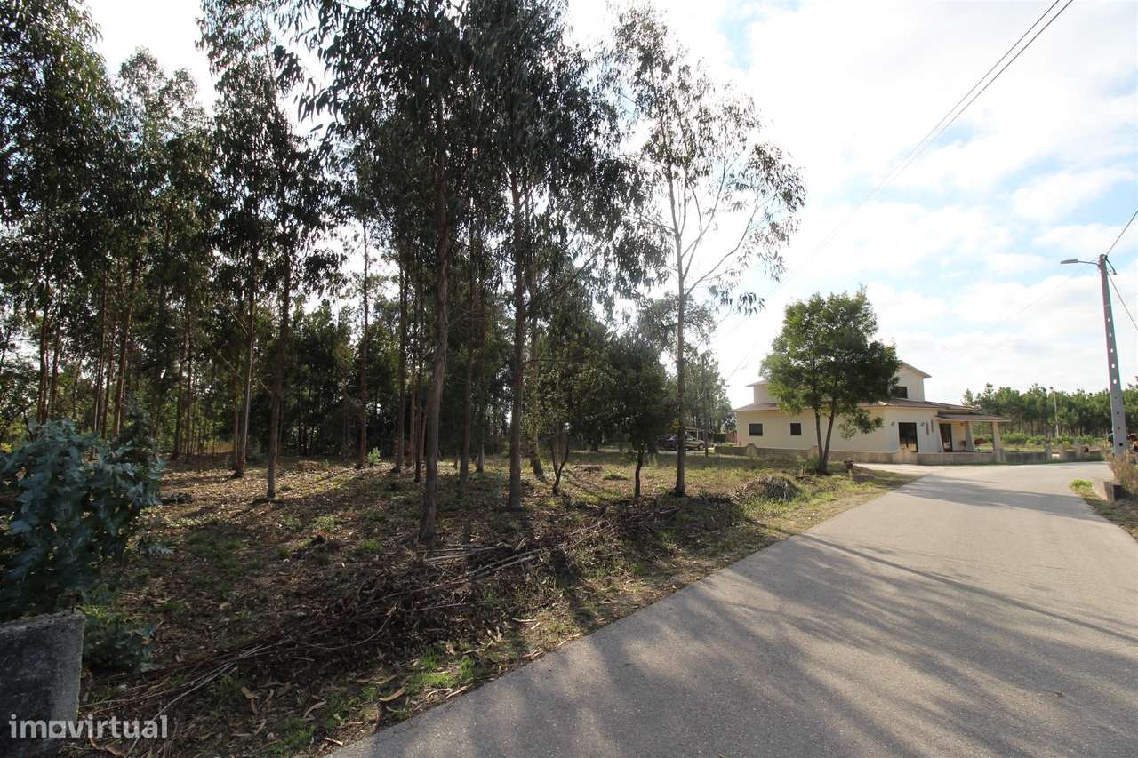 Terreno / Carvide / Leiria - Grande imagem: 4/5