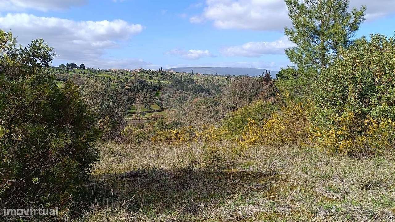 Terreno  para venda - Grande imagem: 3/15