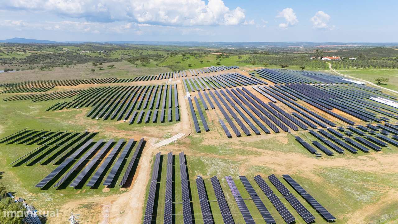 Herdade do Penedo Gordo – 15 Hectares de Elevado Potencial no Alentejo - Grande imagem: 5/6