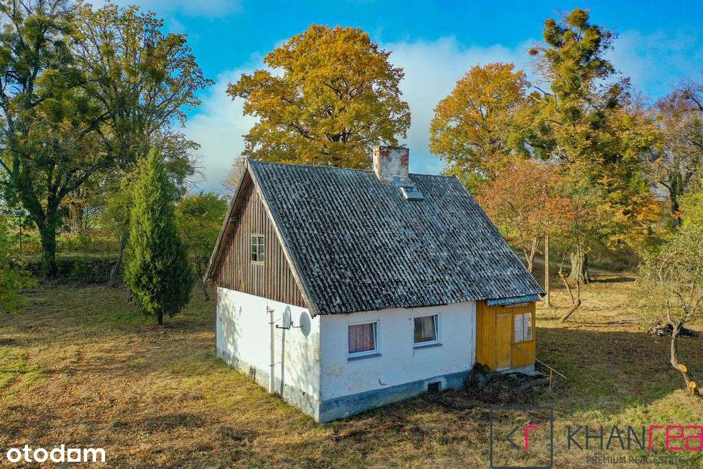 Teren inwestycyjny z linią brzegową Jezioro Mamry - Pełny obrazek: 4/12