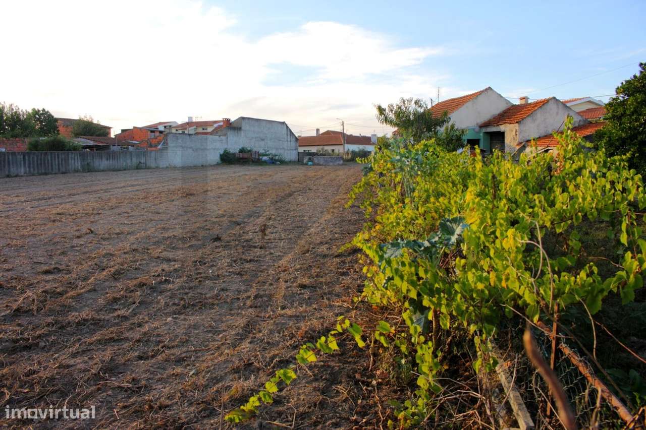 Terrenos com área total de 1900 m2 - Grande imagem: 3/5