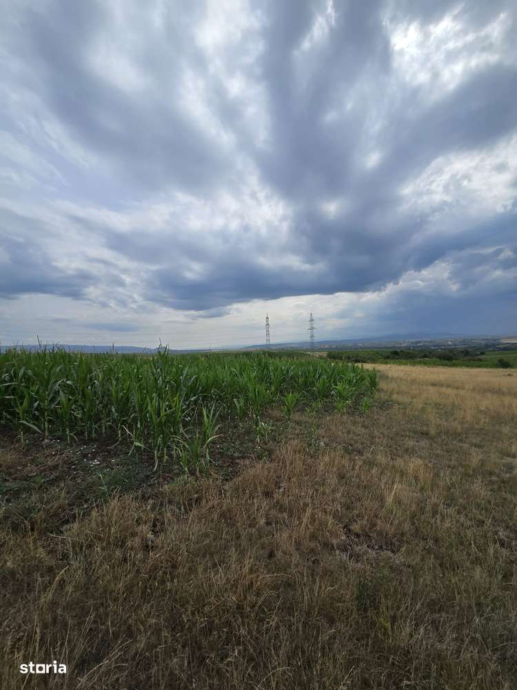 Teren extravilan Cristur Deva. - Imagine principală: 1/3