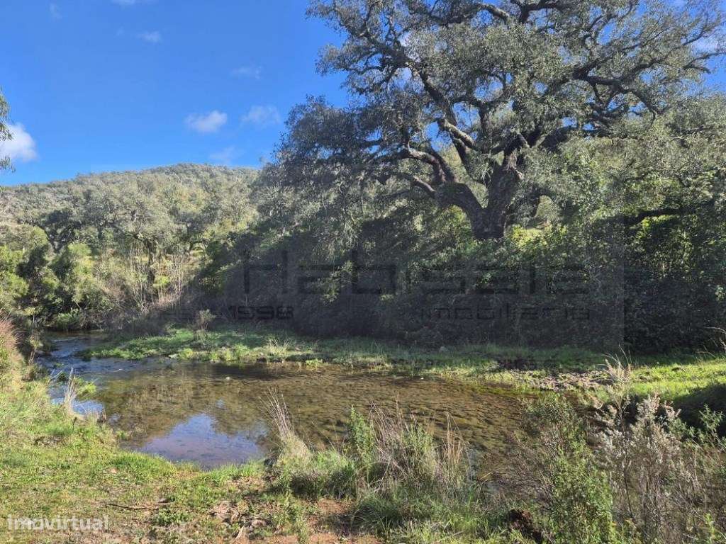 Terreno entre Grandola e Melídes com boas perspectivas de valorização. - Grande imagem: 2/10