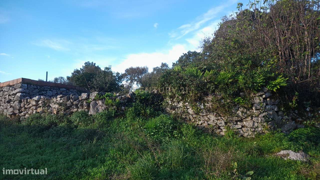 Terreno Urbano com Ruinas - Grande imagem: 3/5