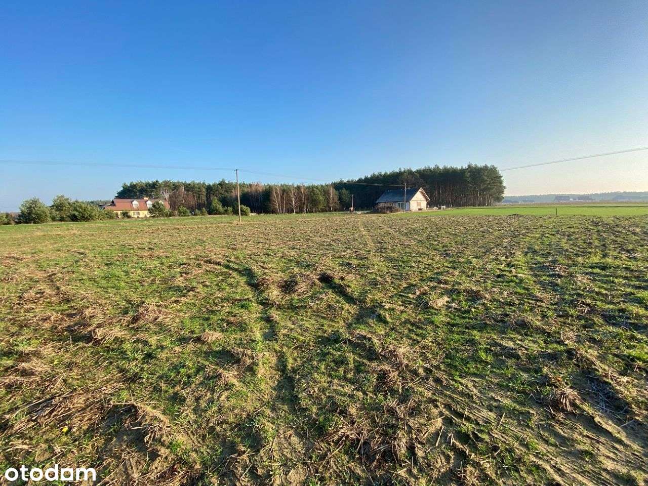 Działka pow. 2674 m2, Sulęcin - Pełny obrazek: 4/5