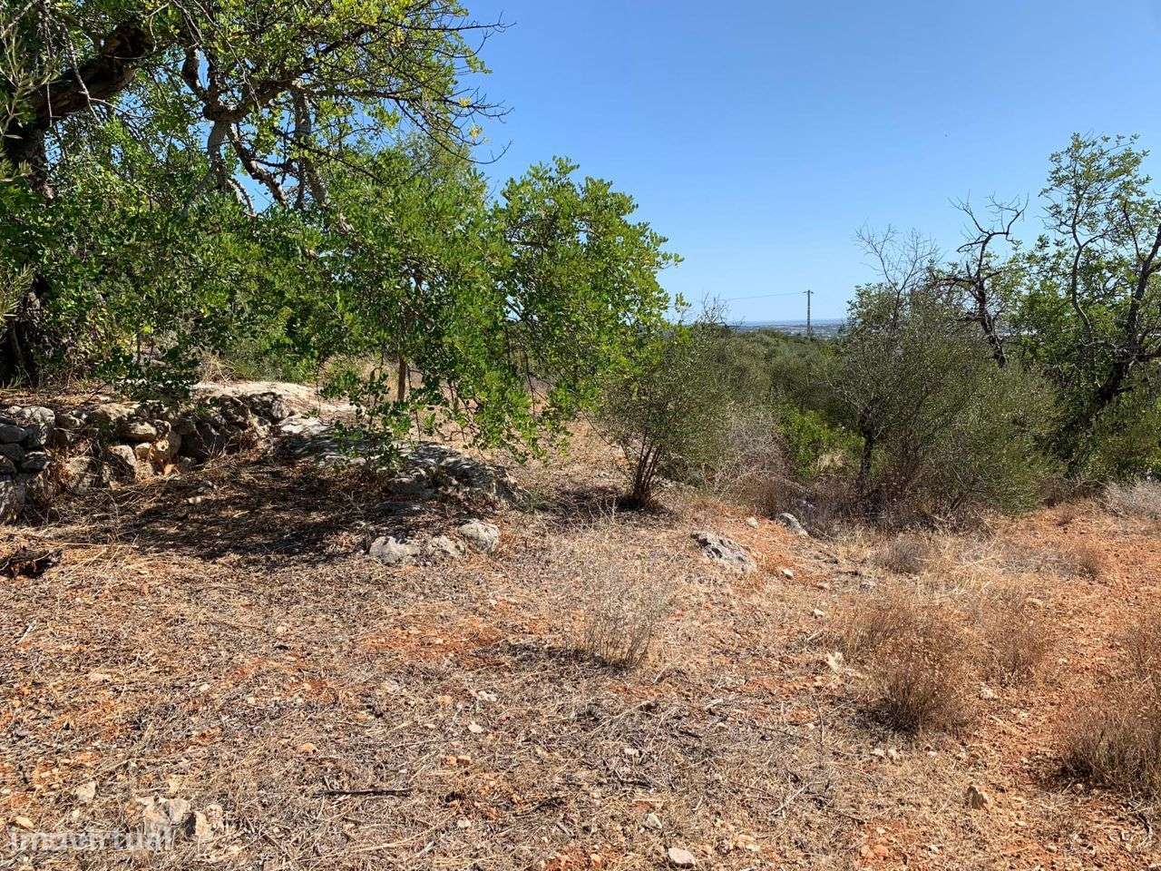 Terreno Urbano, com 3 artigos, Colmeal-23