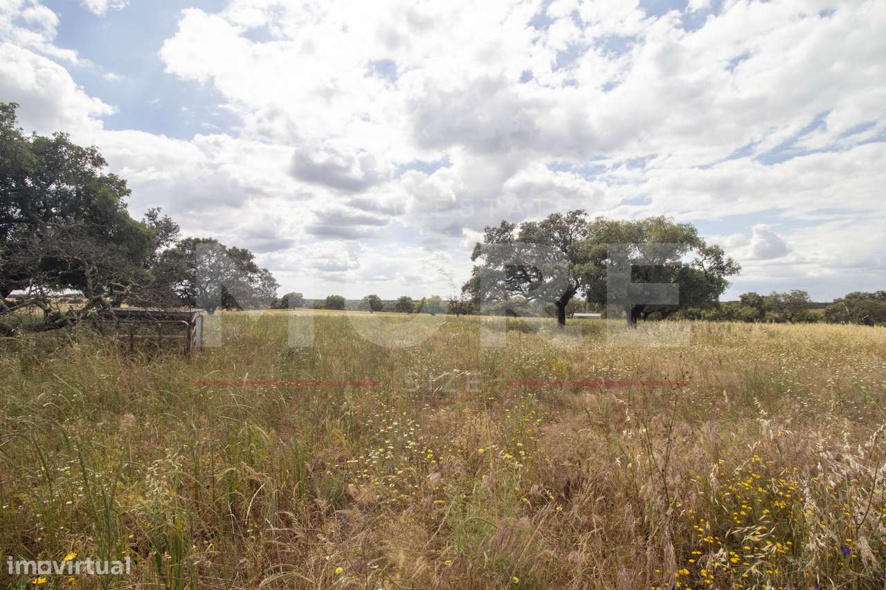 Herdade - Alvito-49