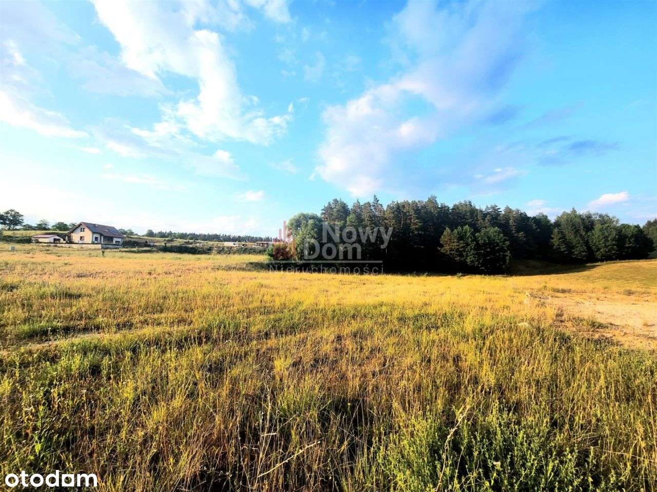 Działka z własnym lasem! - Pełny obrazek: 4/14