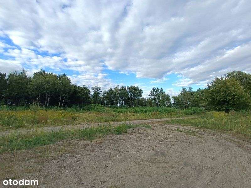 Dk94, A1 - teren inwestycyjny - produkcja/usługi - Pełny obrazek: 4/9