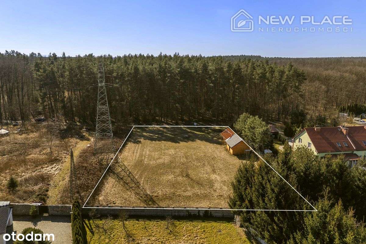 Wilkszyn, przy lesie, pod dom jednorodz., 2416 m2 - Pełny obrazek: 4/8