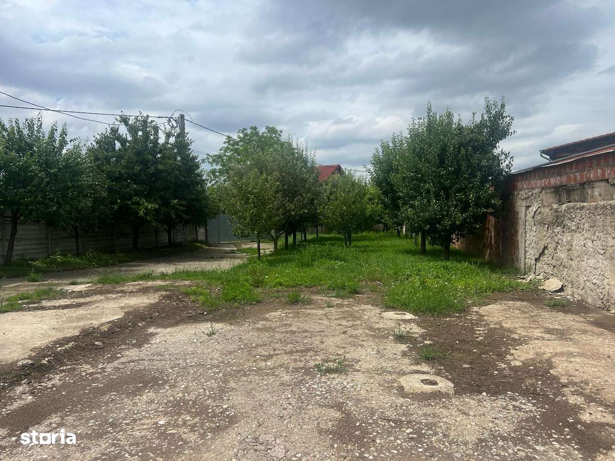 Teren industrial 891 mp, Sanmartin-Rontau-2