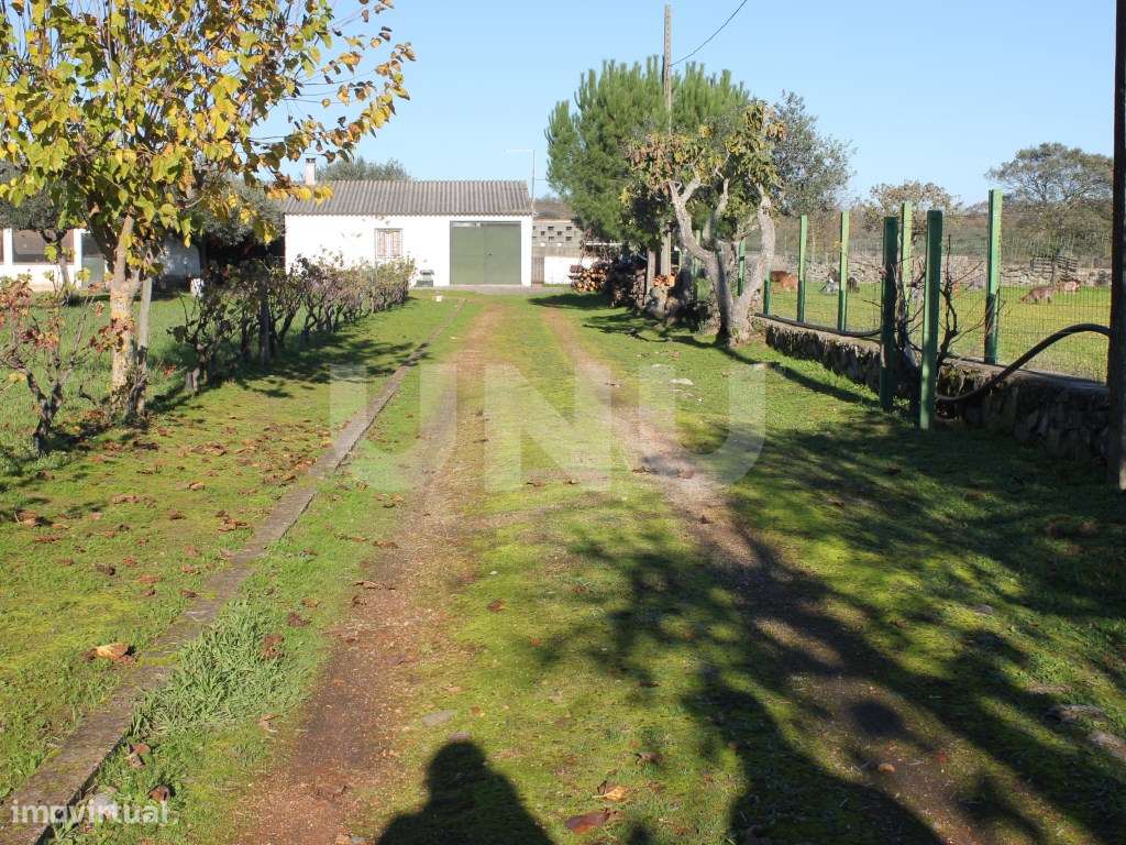 Quinta para venda em Oledo, Idanha-a-Nova, Portugal-48