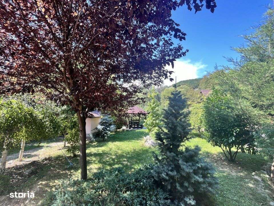 Conacul Mura in Baile Olanesti, O Bijuterie Naturala-3