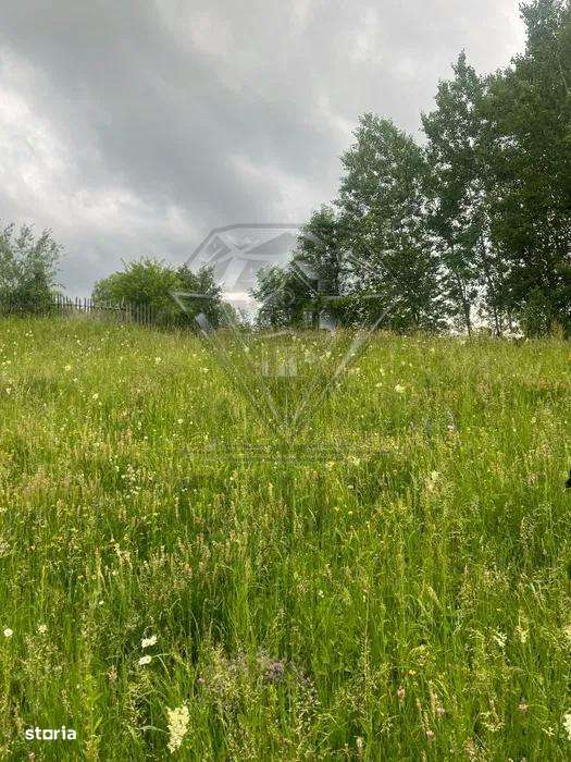 TEREN DE VANZARE VALEA DOFTANEI-1