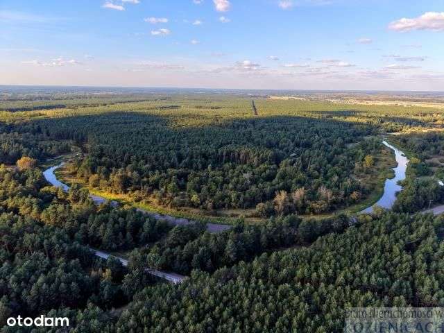 Działka budowlana w Ryczywole - Pełny obrazek: 5/7