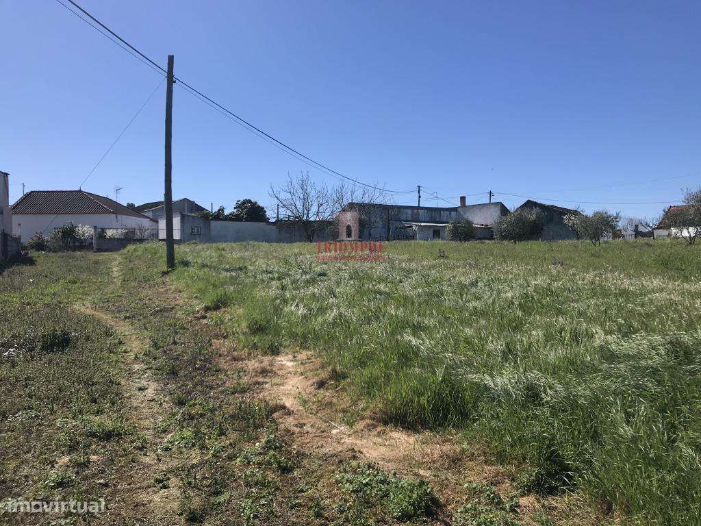 Terreno Urbano 7.750 m2, Asseiceira, Rio Maior - Grande imagem: 4/17