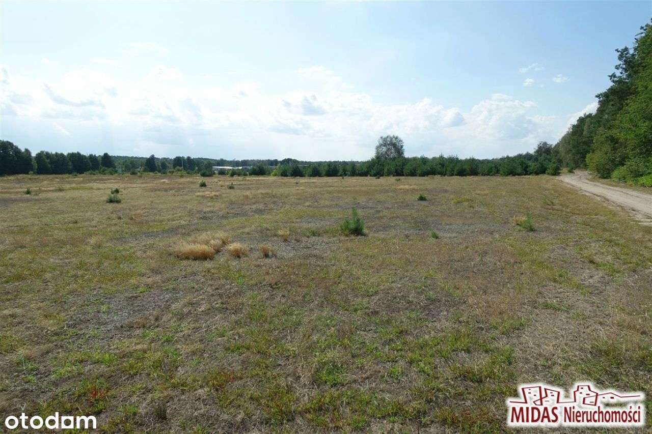 Działka 1518m2,okolice Włocławka tylko teraz 60000 - Pełny obrazek: 4/10