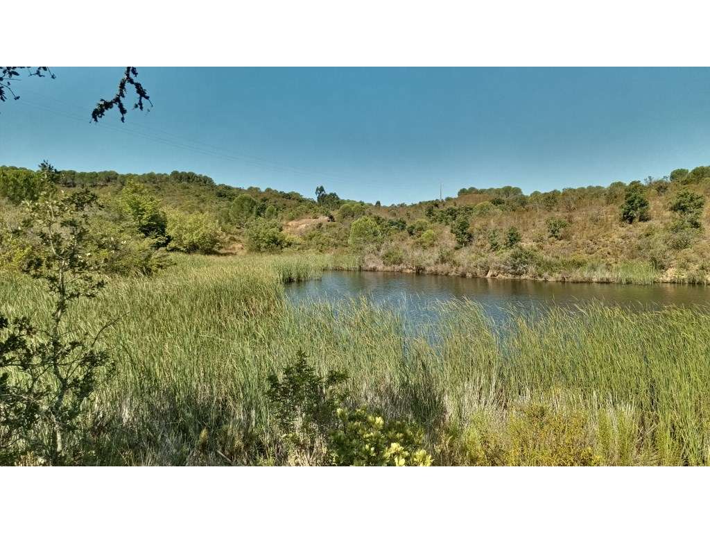 Terreno Misto com 560.000 m2 destinado a Agro-Turismo perto de Silv... - Grande imagem: 4/30