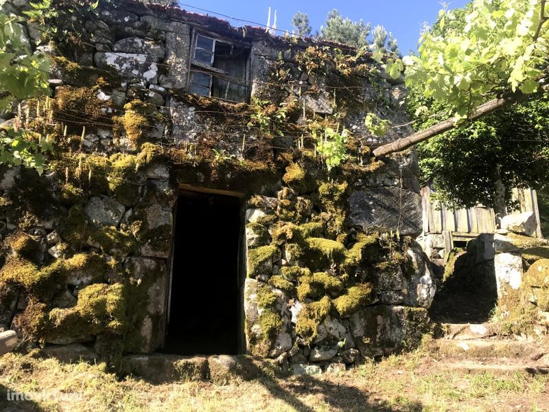 Casa Rústica para remodelar em Cinfães - Santiago de Piães