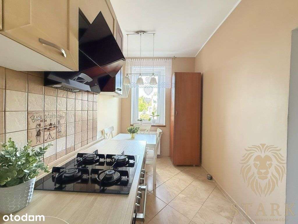 Duża kawalerka z ogródkiem, po remoncie, parter-5