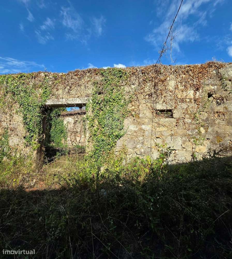 Para investidores 5 moradias -  oportunidade em Oliveira do Douro- Vil-3