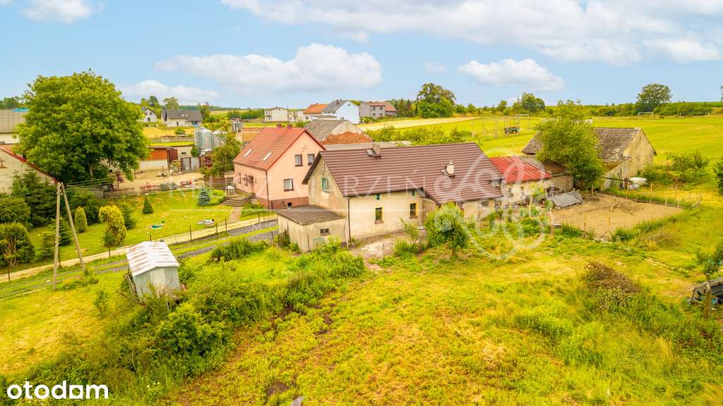 Dom w Widowie z działką 2040m2