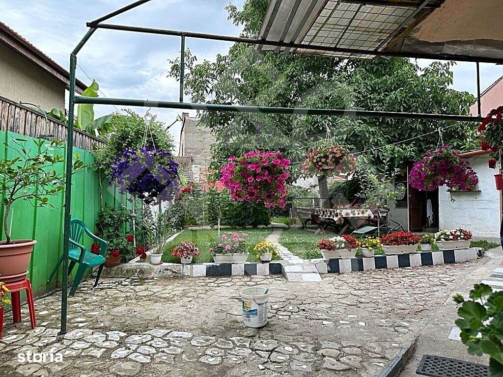 Casa individuala cu teren ultracentral in Oradea-0