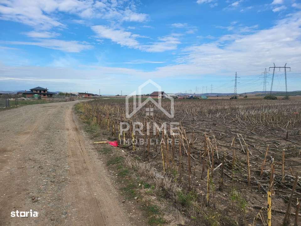 Teren de vanzare in Oarda de Jos , 8300  mp din care 2700 mp intravila - Imagine principală: 2/4