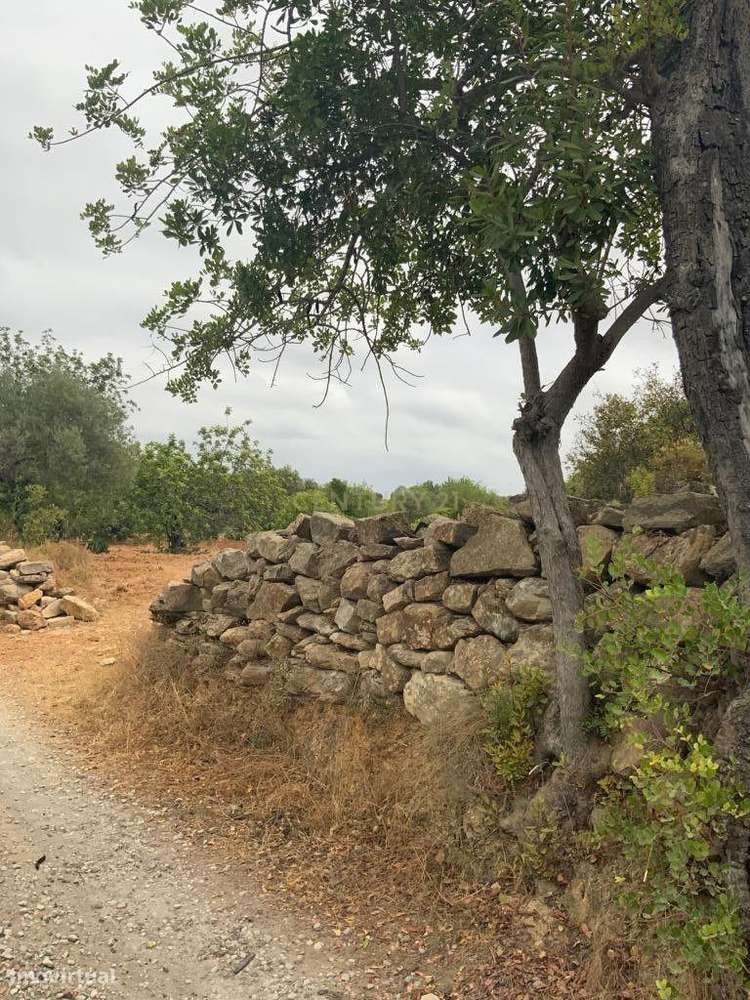 Terreno rústico de 6.120 m2 no Algarve - Grande imagem: 3/6