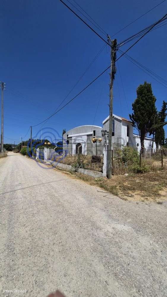 Terreno com armazém - Grande imagem: 3/13