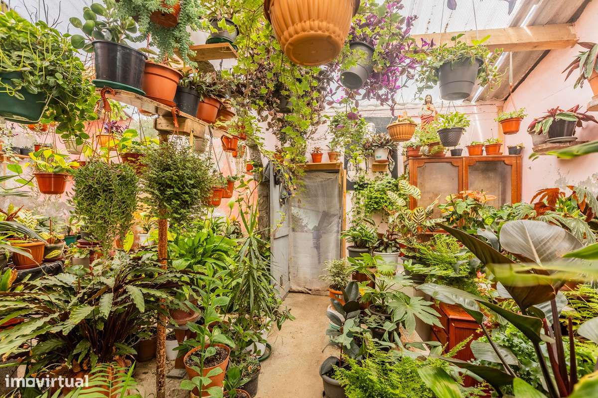 Garagem - Calhetas (Oportunidade) - Grande imagem: 4/25